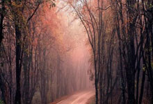 巴塞羅那宣布拉波爾塔當選球隊新任主席.