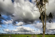 威客电竞app:世界杯冠亞軍法國克羅地亞遭淘汰出局.