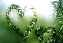 威客电竞首页：[流言板]近15场只有湖人&骑士&绿军&雷霆，进攻和防守效率联盟前七42亮379回复.