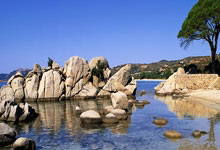 《关于体育促进铸牢中华民族共同体意识的指导意见》发布.